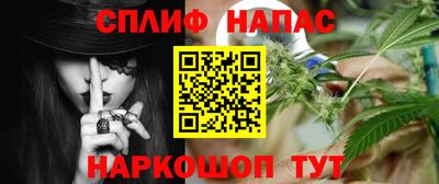 a pvp Камень-на-Оби