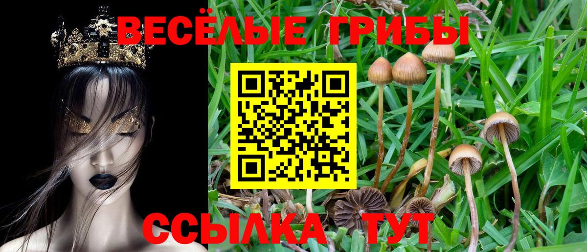 Галлюциногенные грибы Cubensis Мирный