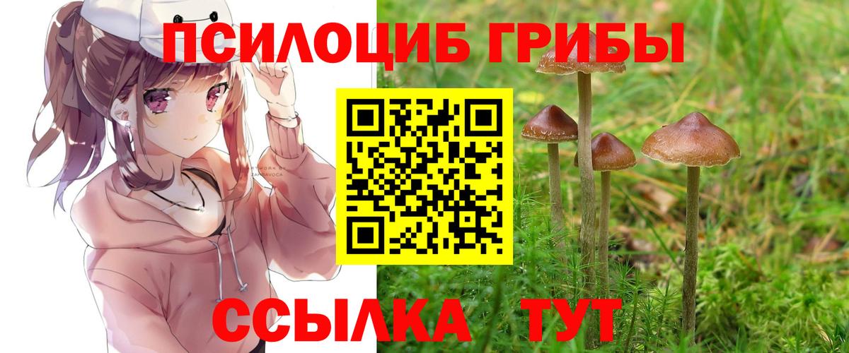 Мирный  Галлюциногенные грибы прущие грибы  Вход с VPN 